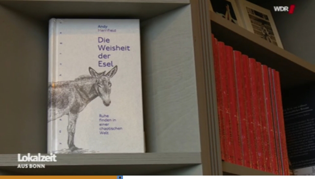 Blick in den Buchladen Eselohr